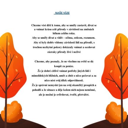 Webovky - naše vize